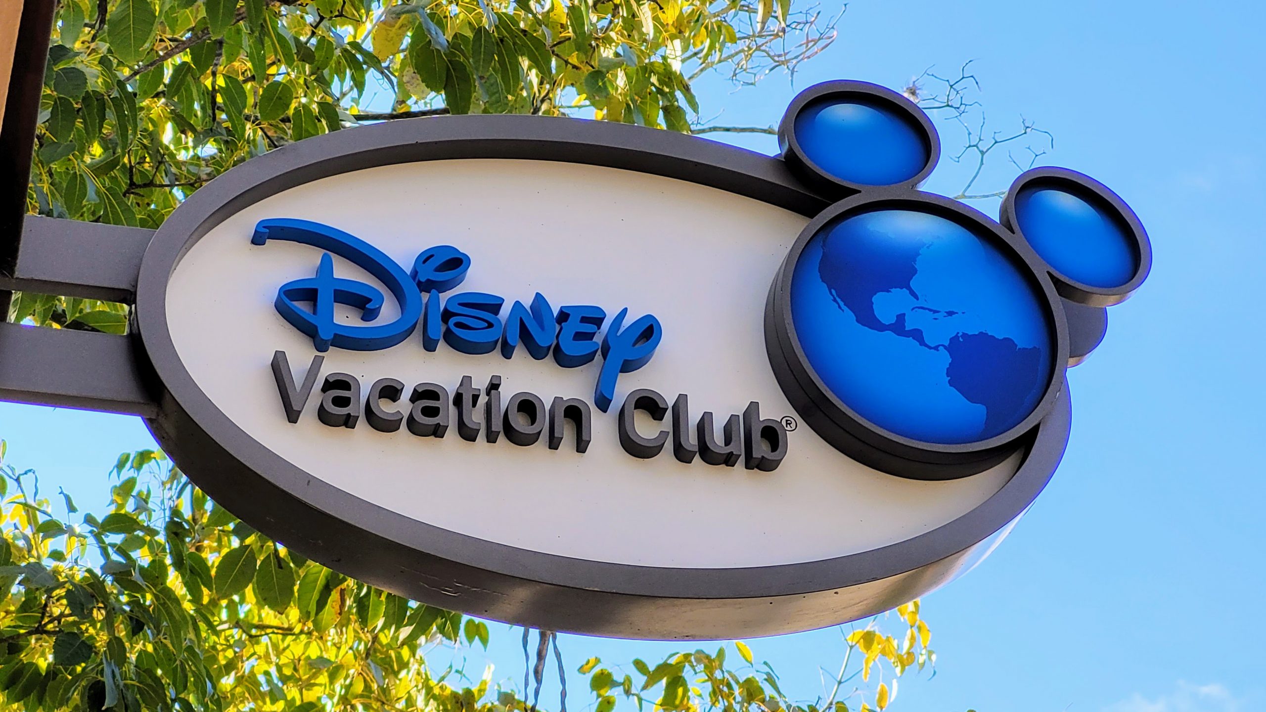 How to Vet a DVC Broker Before You Rent, Buy, or Sell